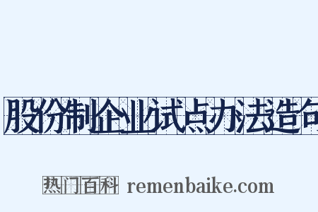 股份制企业试点办法造句是什么意思的图片